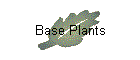 Base Plants