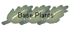Base Plants