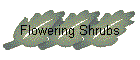 Flowering Shrubs