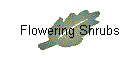 Flowering Shrubs