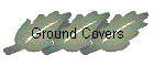 Ground Covers