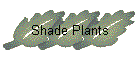 Shade Plants